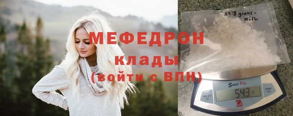 СК Алексин