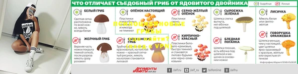 винт Алексеевка