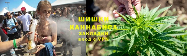 СК Алексин